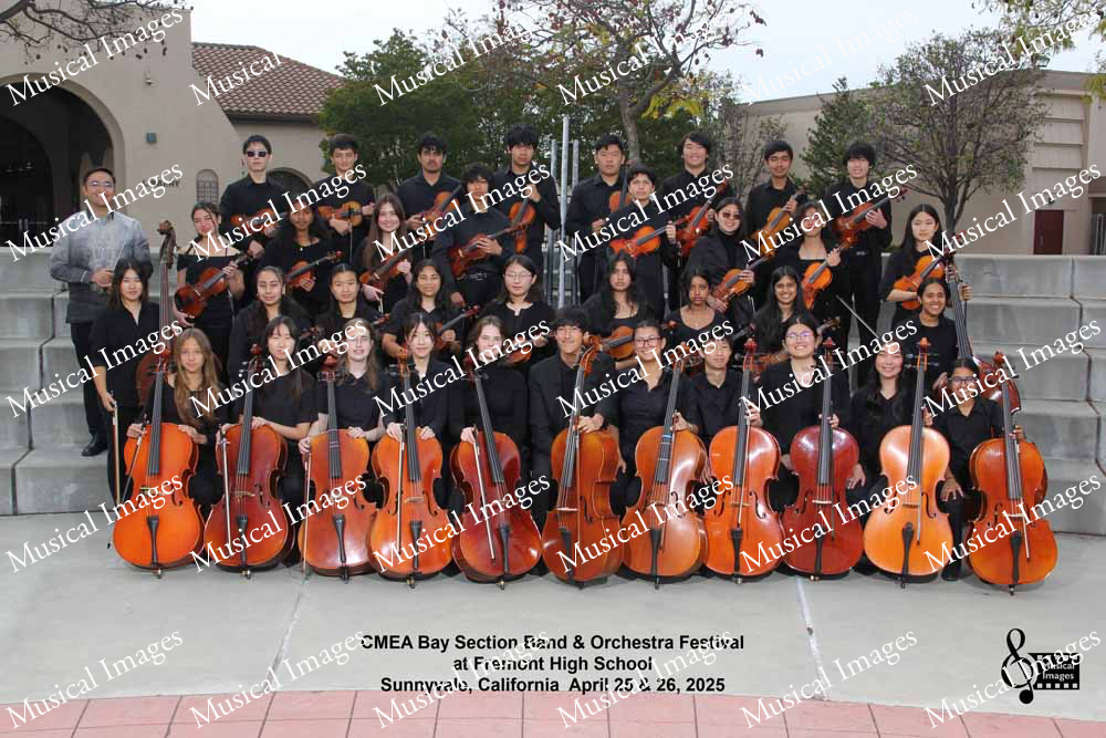 Musical Images